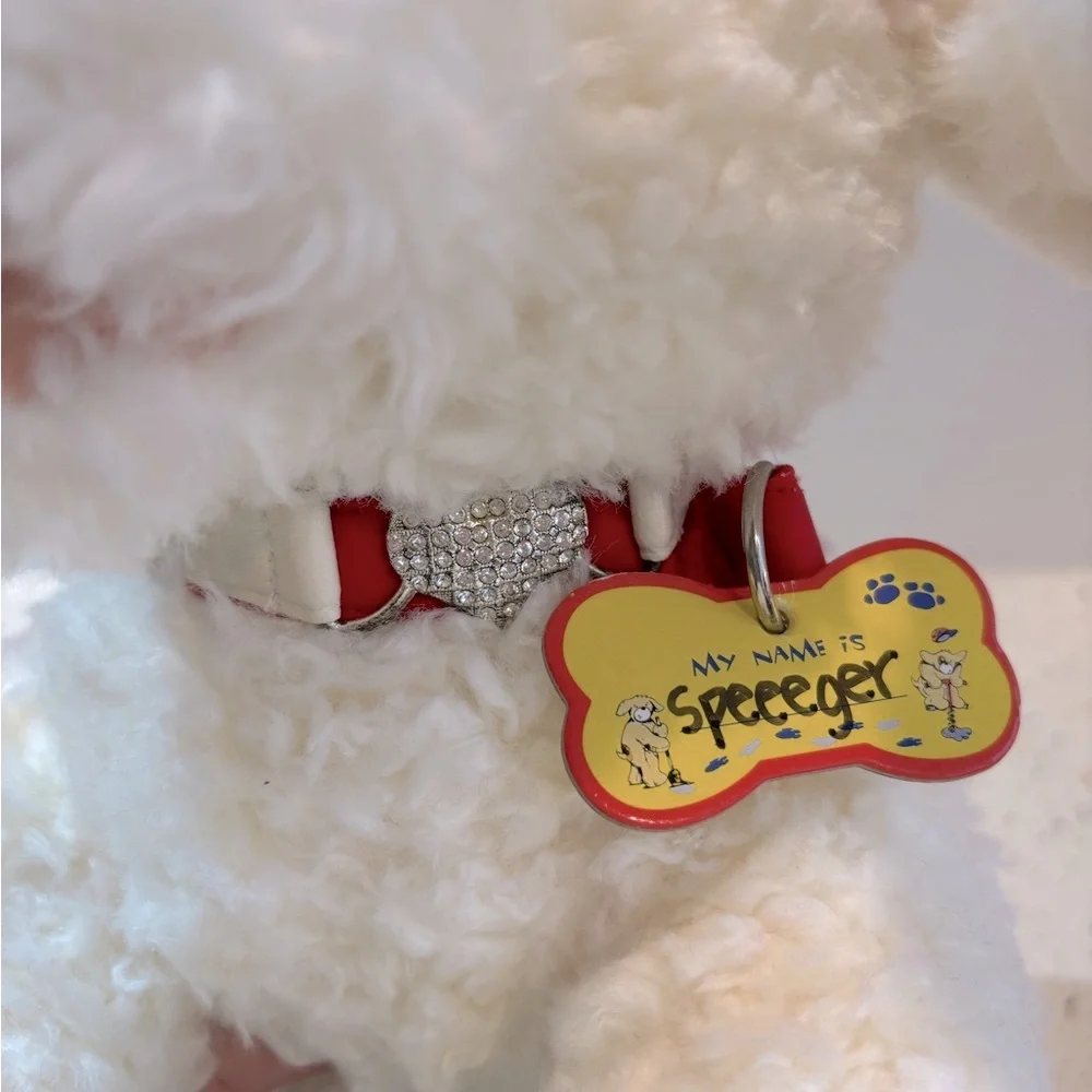 Build-A-Bear Maltese Poodle Maltipoo White‎ Dog Plush